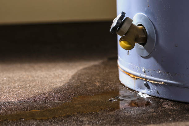 Water damage restoration mold remediation in Cologne, NJ