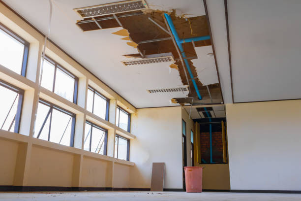Best Professional water damage repair  in Cologne, NJ