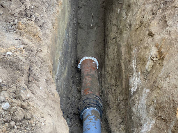 Best Sewage cleanup and water damage restoration  in Cologne, NJ