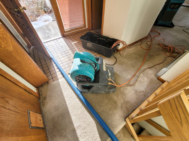 Best Water damage contractors near me  in Cologne, NJ