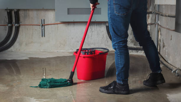 Best Water damage restoration services  in Cologne, NJ