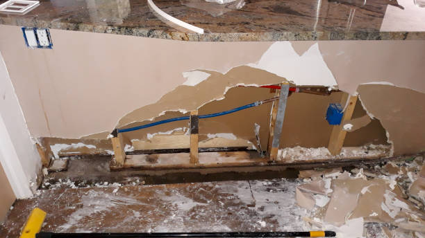 Best Basement water damage restoration  in Cologne, NJ