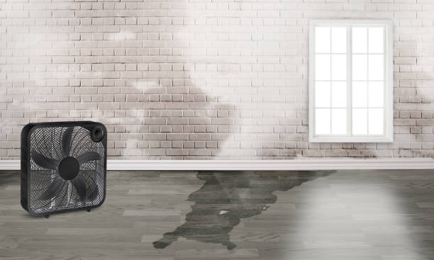 Cologne, NJ Water damage restoration Company
