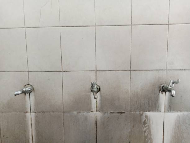 Best Water damage restoration near me  in Cologne, NJ