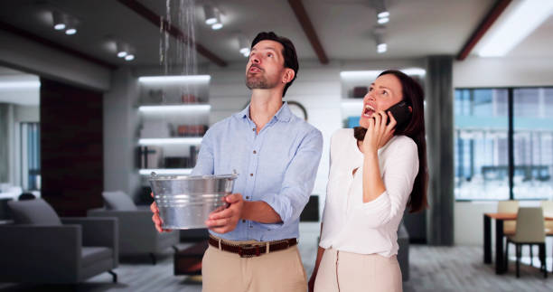 Best Ceiling water damage repair  in Cologne, NJ