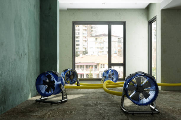 Best Commercial water damage restoration  in Cologne, NJ